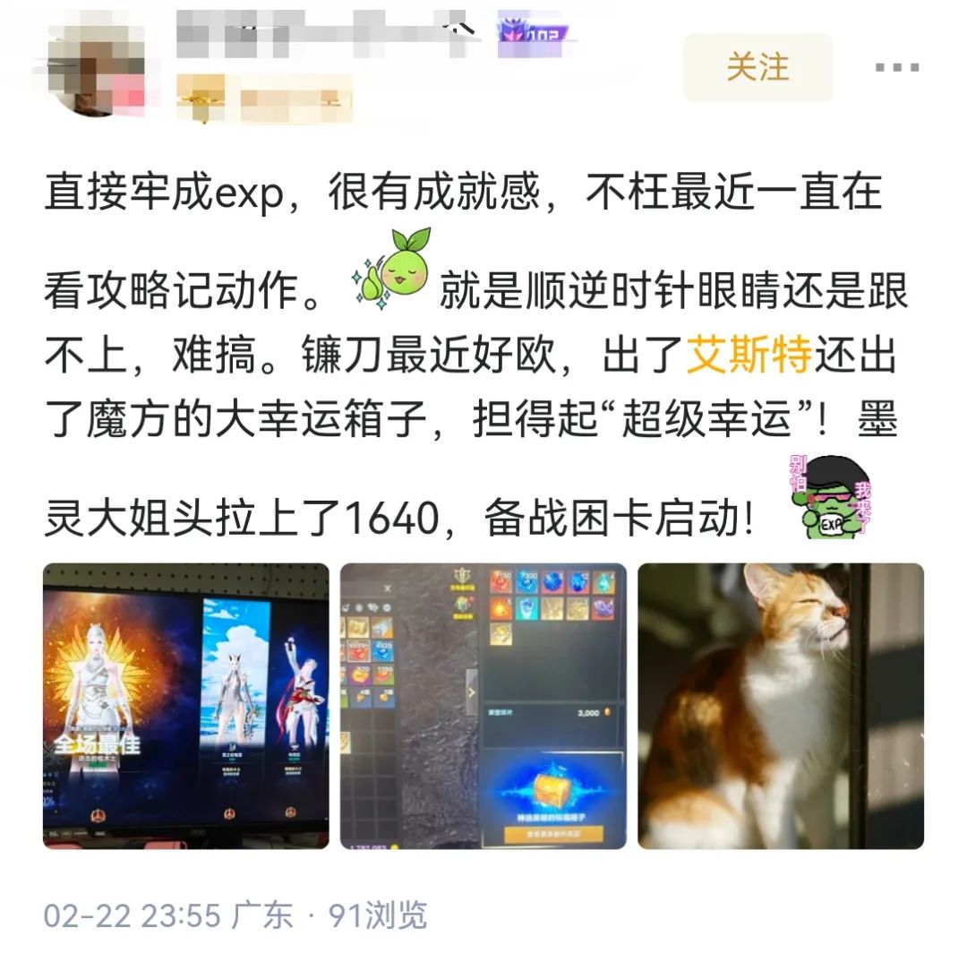 命运方舟,命运方舟