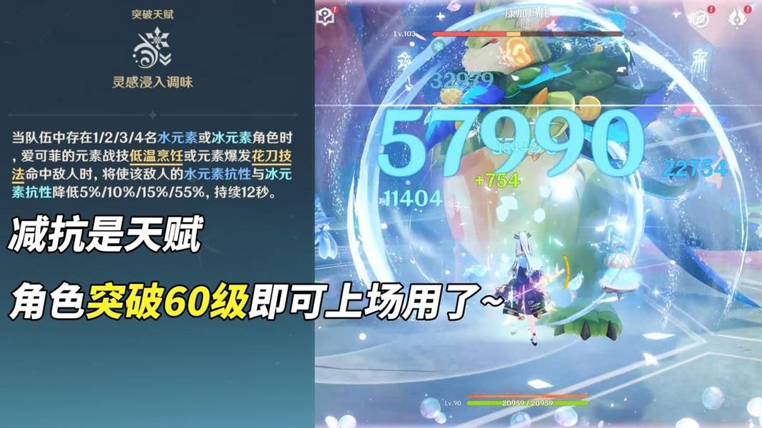 原神,原神,爱可菲,养成攻略,原神