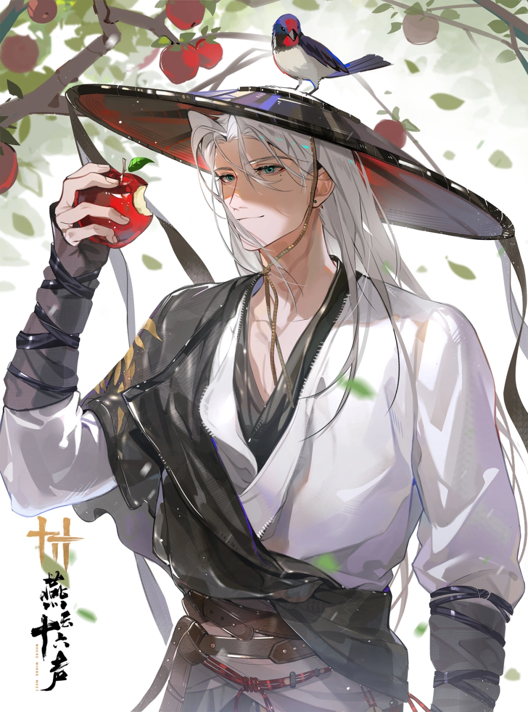 燕云十六声,燕云十六声