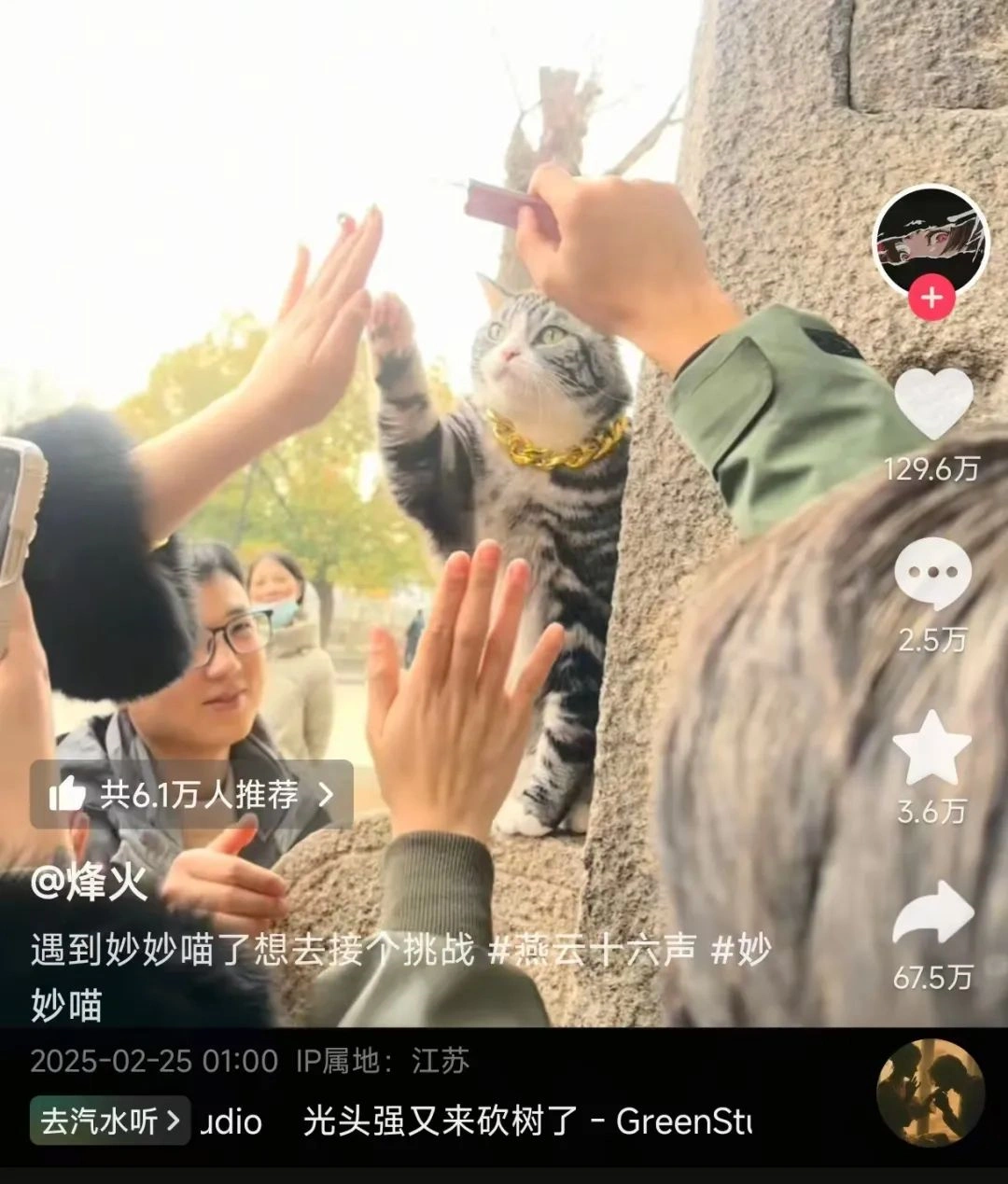 燕云十六声,主播,土豪,燕云十六声