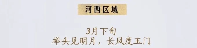 燕云十六声,性别转换,百业战,燕云十六声