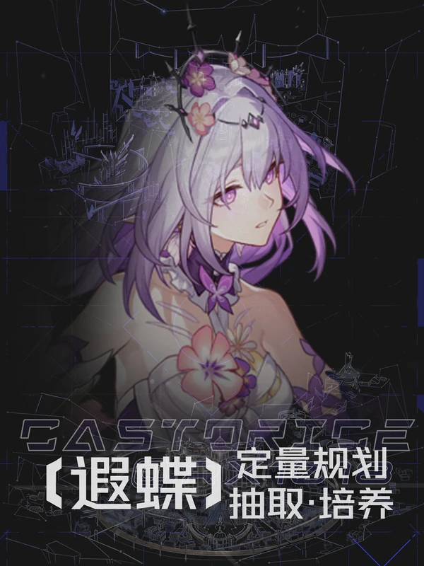 崩坏：星穹铁道,崩坏：星穹铁道,遐蝶,抽取,星穹铁道
