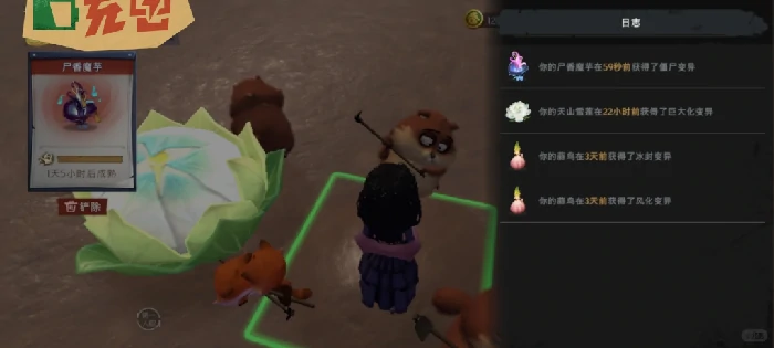 农场模式无怪变异技巧,祈福变异成功率测试