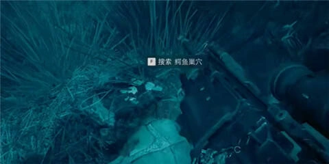 三角洲,行动,鳄鱼,巢穴,在,哪个,图,所在,地图,,三角洲行动
