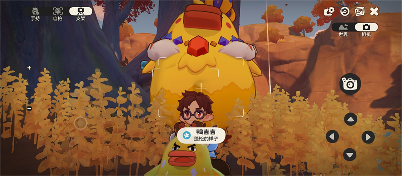 配图