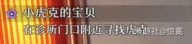 小虎克的宝贝在哪,星穹铁道