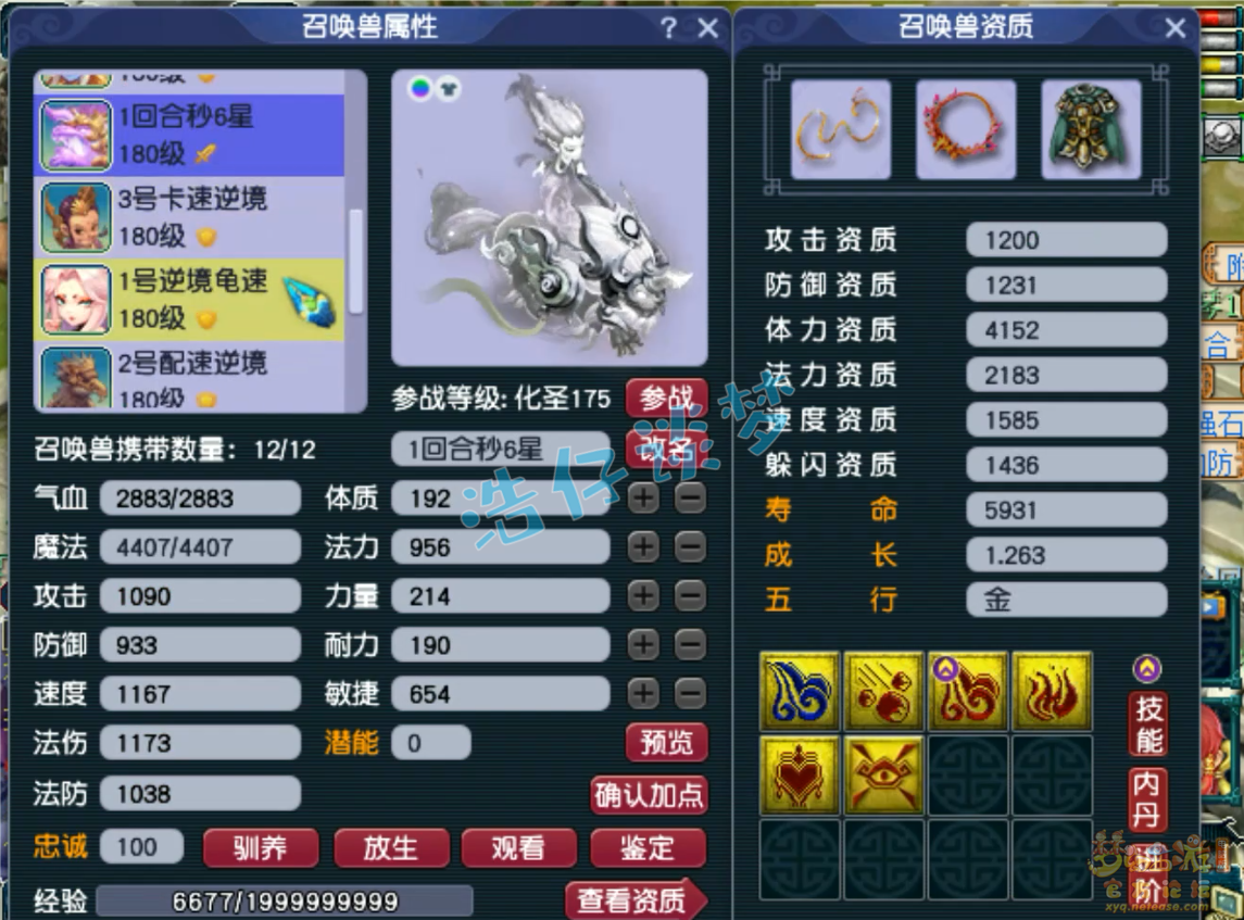 175五开化生寺装备选择,梦幻西游