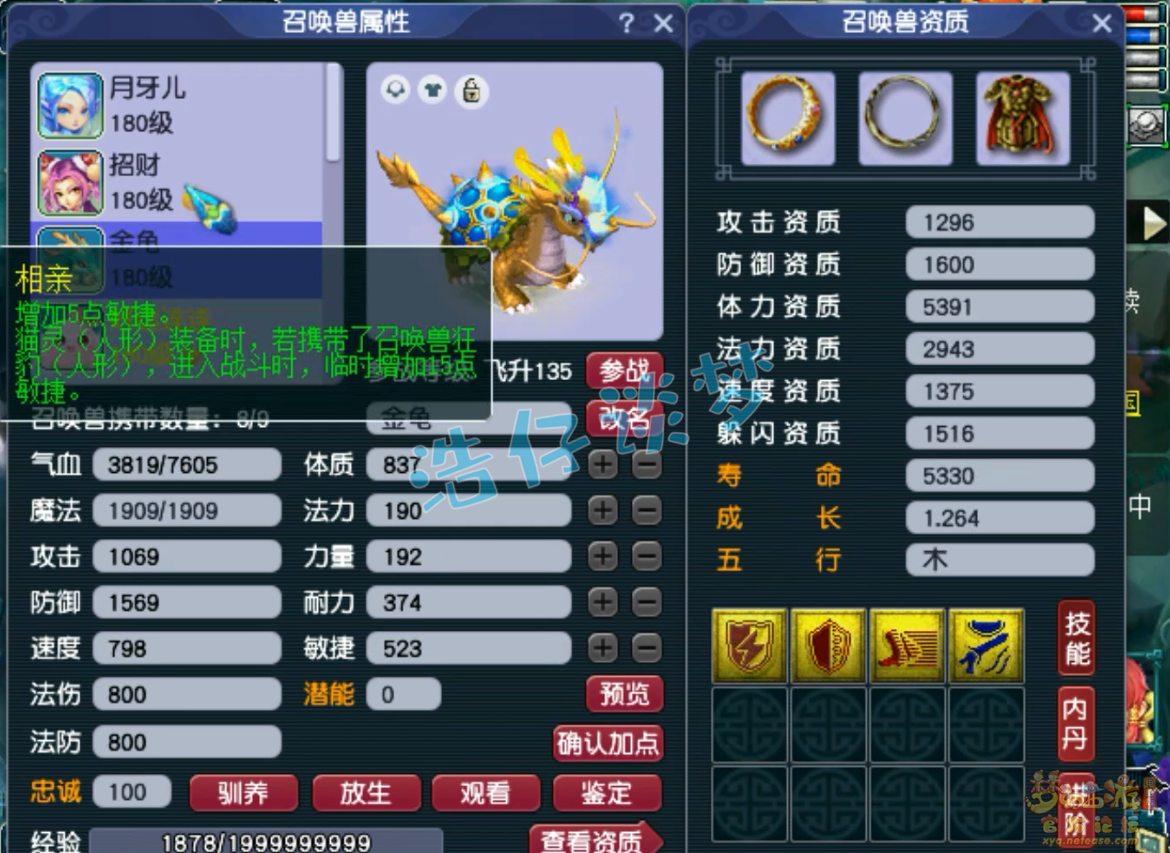 175力女儿装备选择,梦幻西游