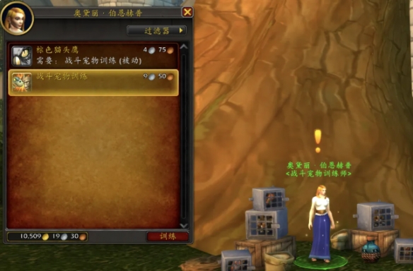 魔兽世界20周年庆宠物对战角怎么玩,魔兽世界