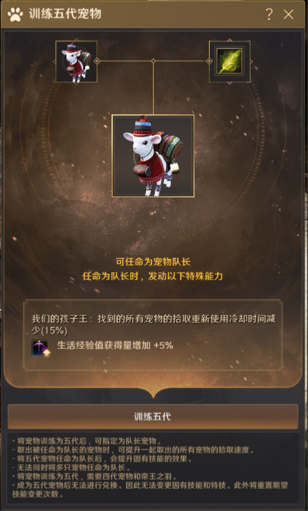 五代宠物材料有哪些
