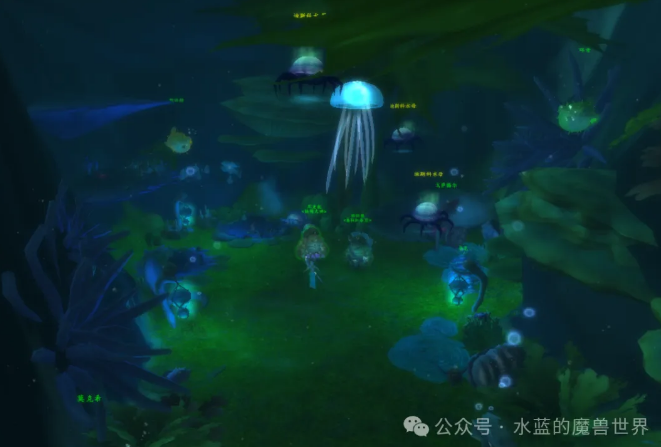 魔兽世界货箱保险专员成就攻略,魔兽世界