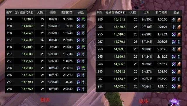 魔兽世界wlk盗贼p3饰品推荐,魔兽世界