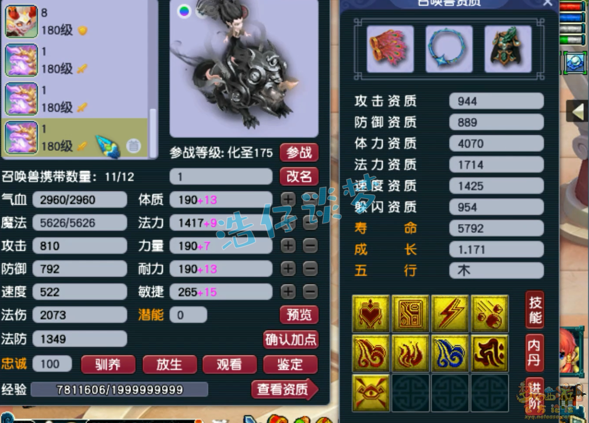 服战五庄观装备展示,梦幻西游