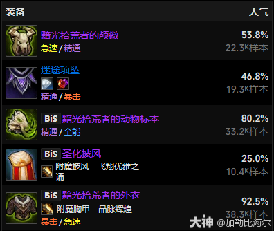 11.0.5射击猎玩法攻略,魔兽世界