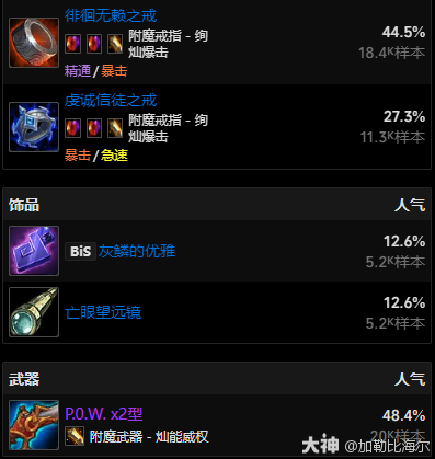 11.0.5射击猎玩法攻略,魔兽世界