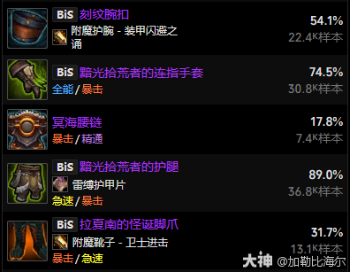 11.0.5射击猎玩法攻略,魔兽世界