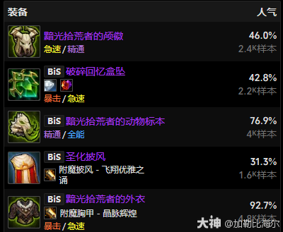 11.0.5射击猎玩法攻略,魔兽世界