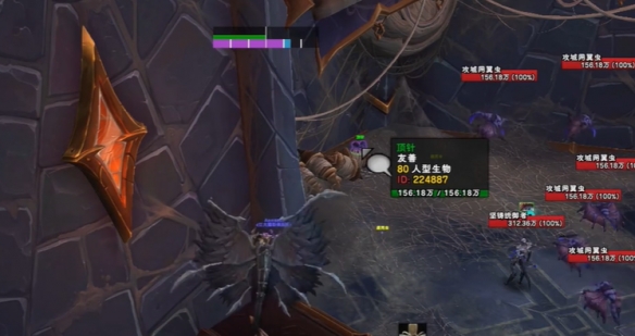 魔兽世界小小蜘蛛成就攻略,魔兽世界