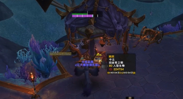 魔兽世界小小蜘蛛成就攻略,魔兽世界