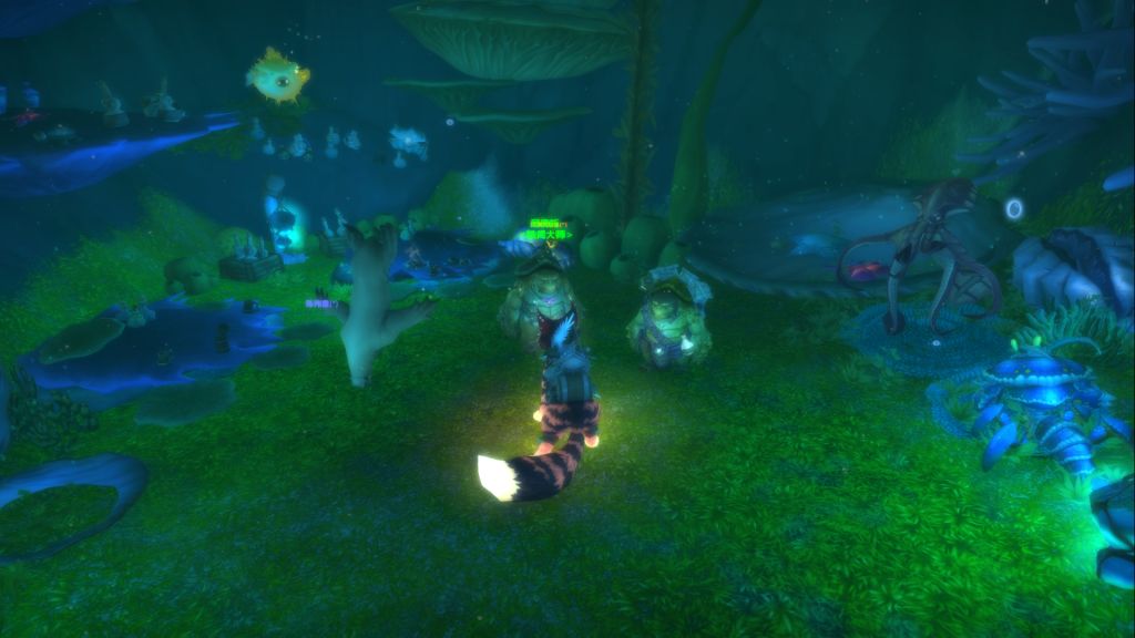魔兽世界20周年全庆典箱子位置坐标,魔兽世界