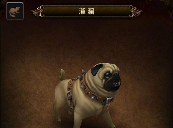 溜溜怎么获得,魔兽世界