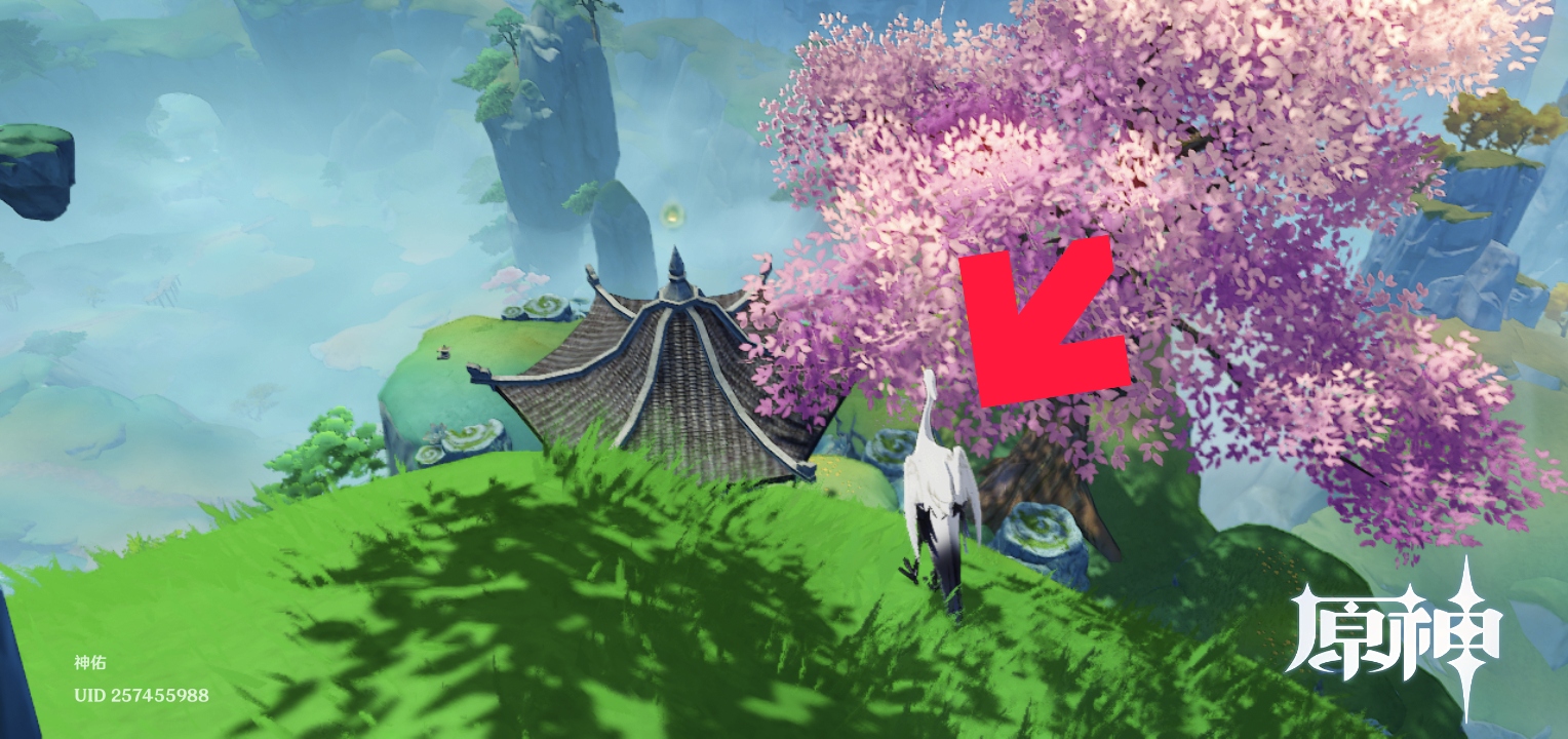 伴爪同行第二关攻略,原神