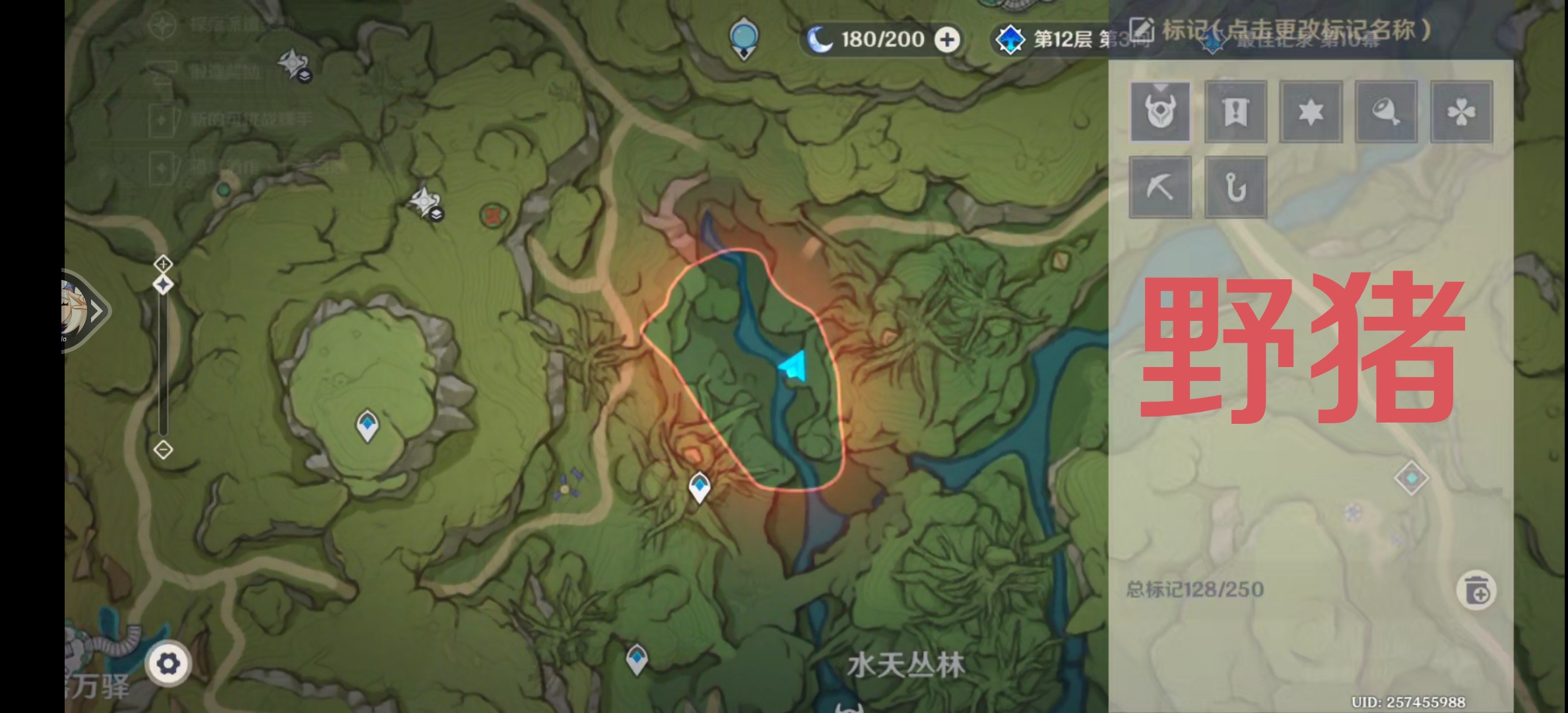伴爪同行第五关攻略,原神