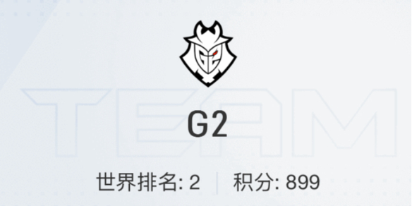 2024上海majorG2战队选手名单