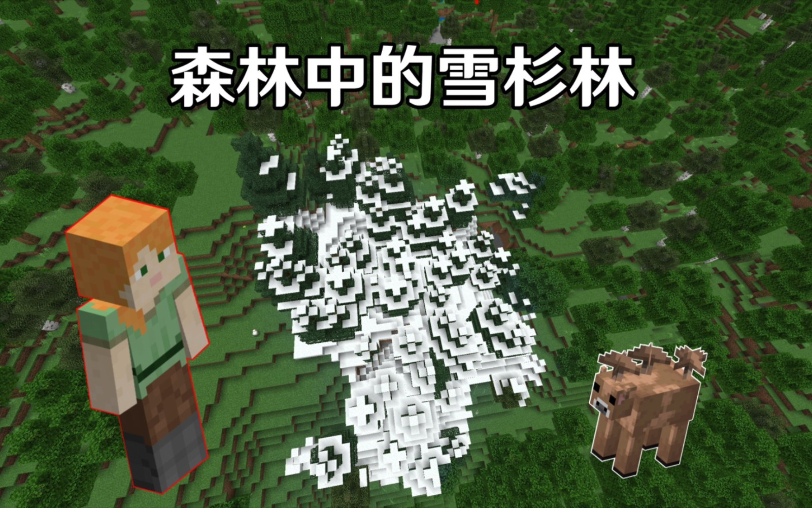 2025年最新种子,我的世界