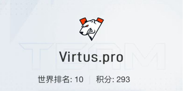 CSGO2024上海majorVP战队选手名单