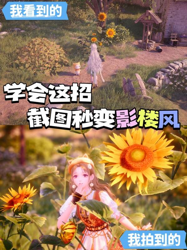 拍照参数设置攻略,无限暖暖