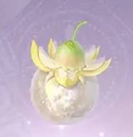 无限暖暖日光果怎么获得,无限暖暖