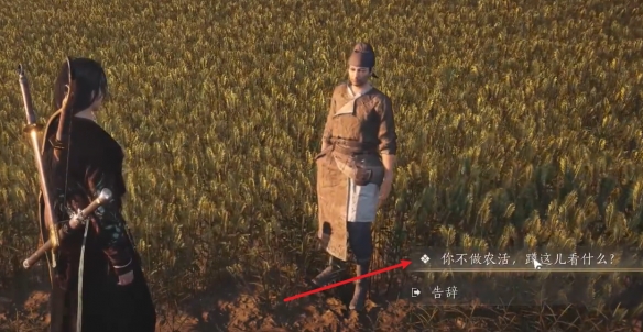 田中生金任务攻略,燕云十六声