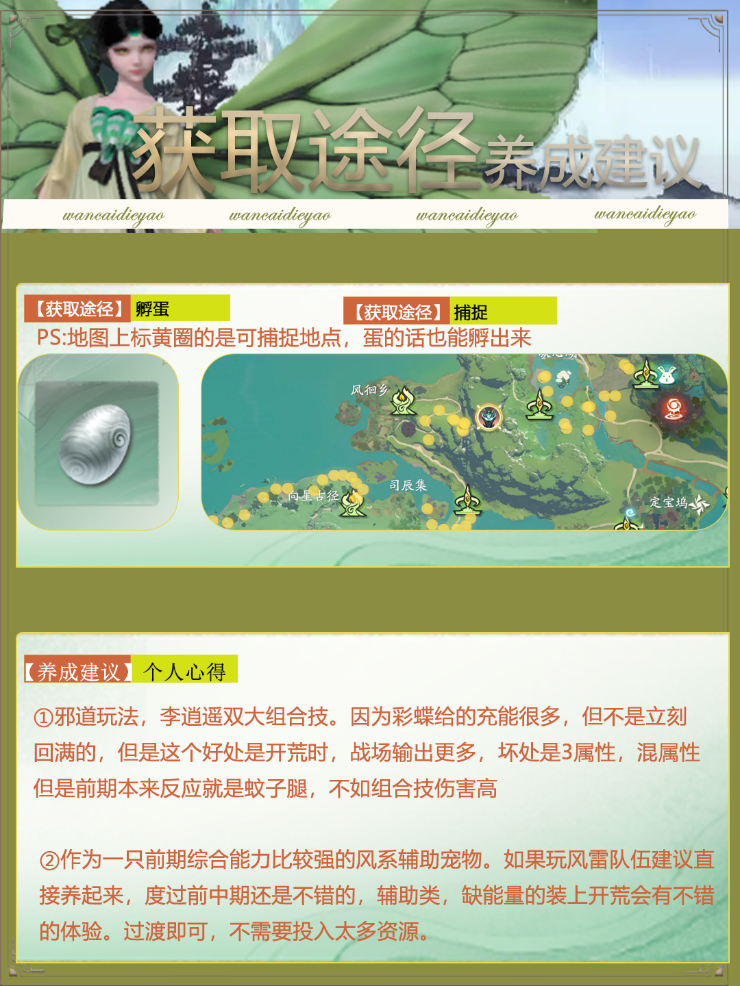 万彩蝶妖怎么获得