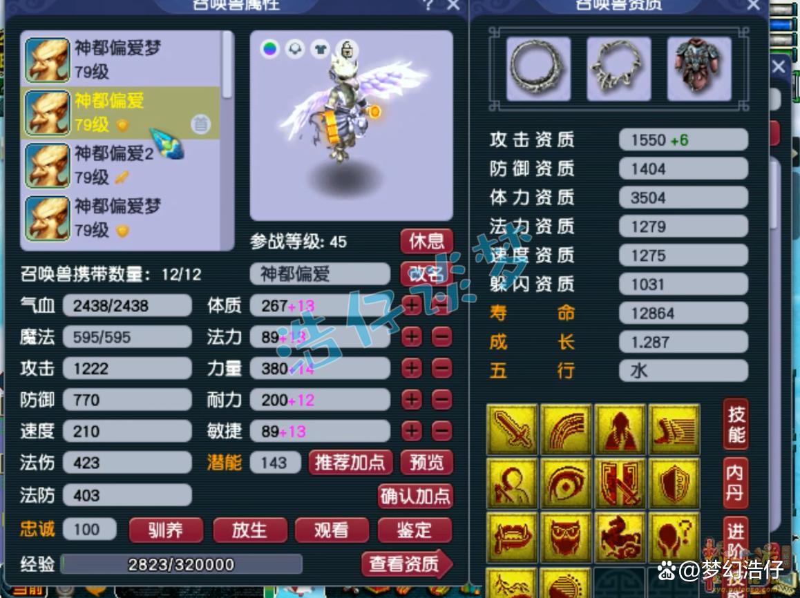 神木69辅助装备选择攻略,梦幻西游