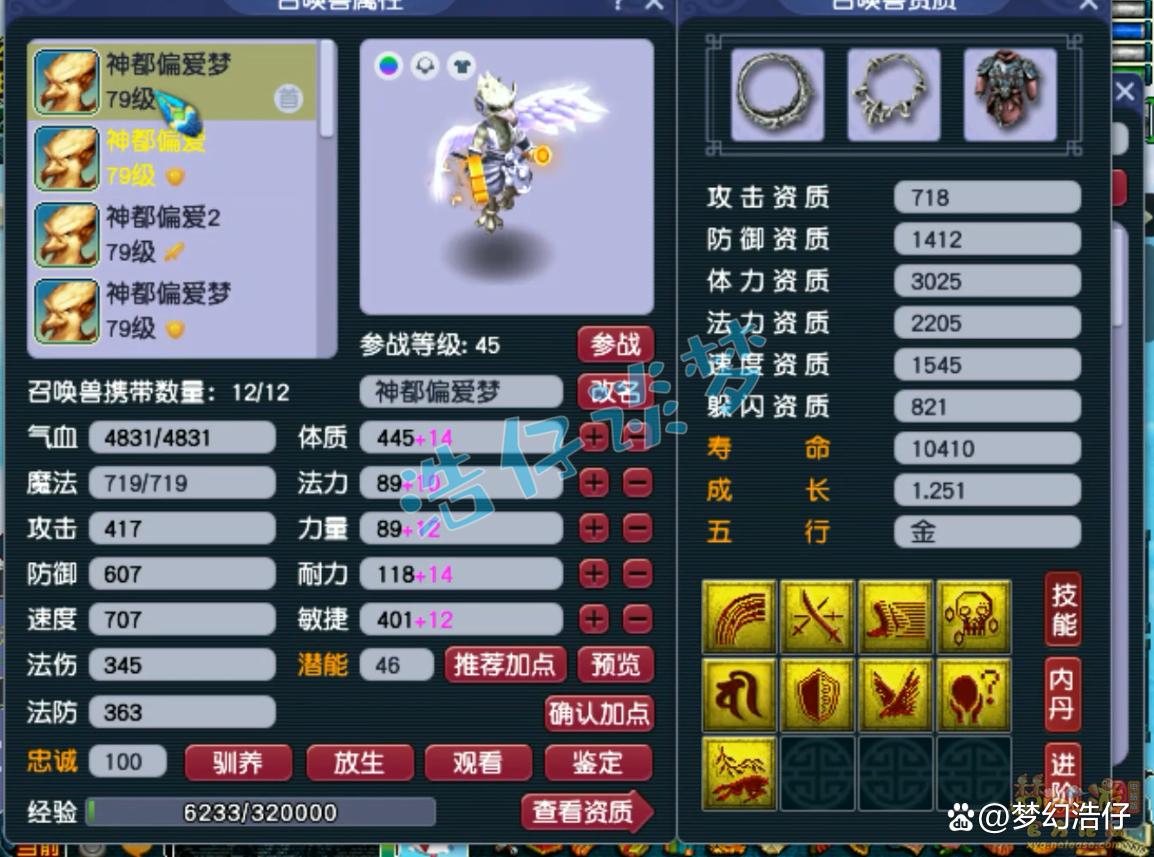 神木69辅助装备选择攻略,梦幻西游
