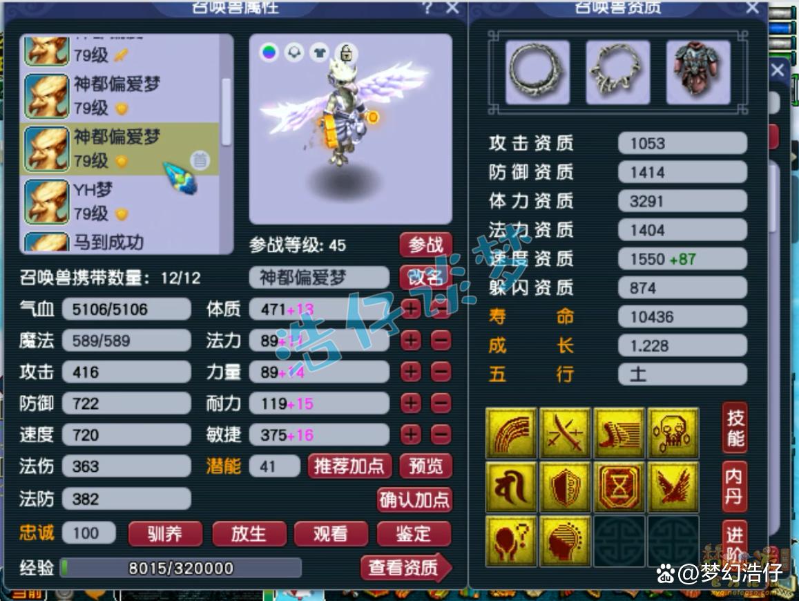 神木69辅助装备选择攻略,梦幻西游
