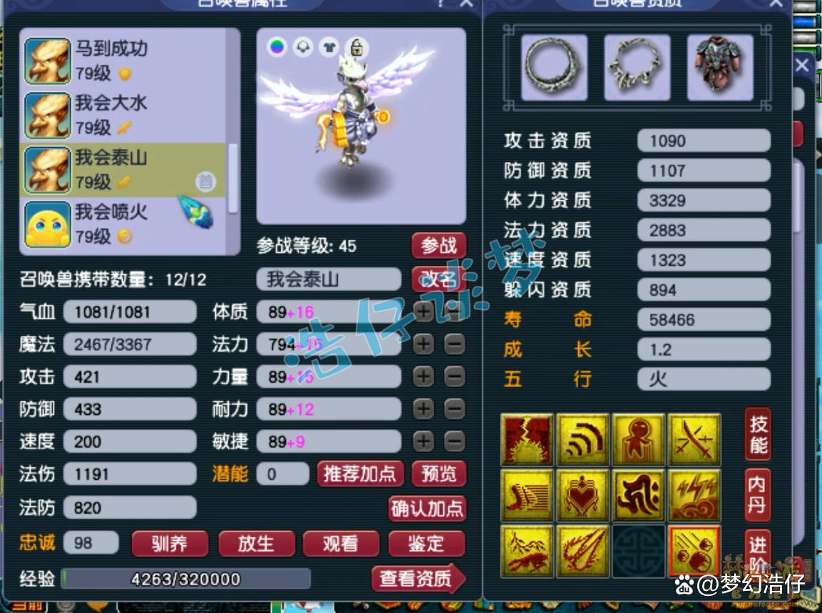 神木69辅助装备选择攻略,梦幻西游