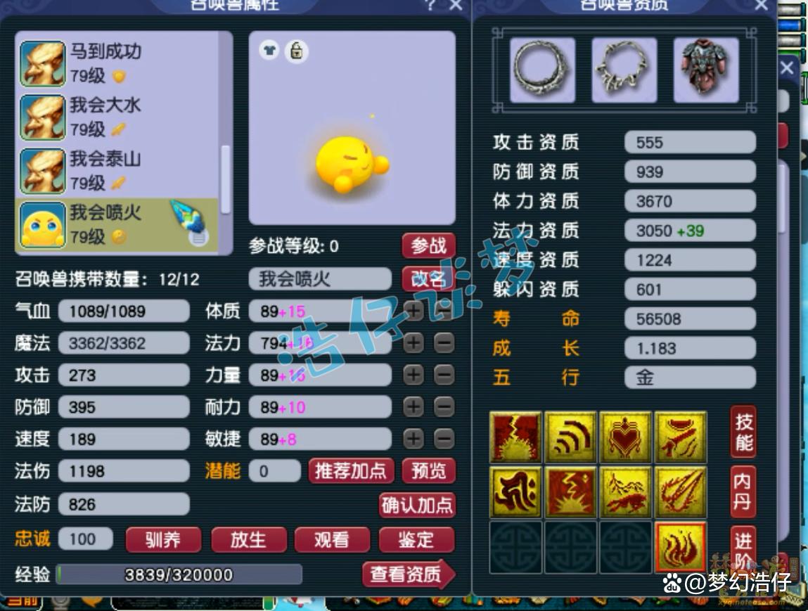 神木69辅助装备选择攻略,梦幻西游