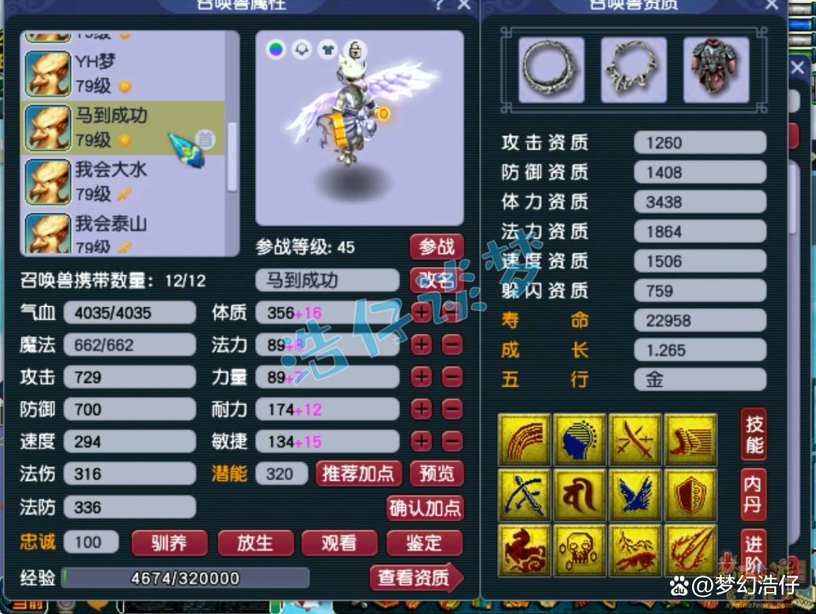 神木69辅助装备选择攻略,梦幻西游