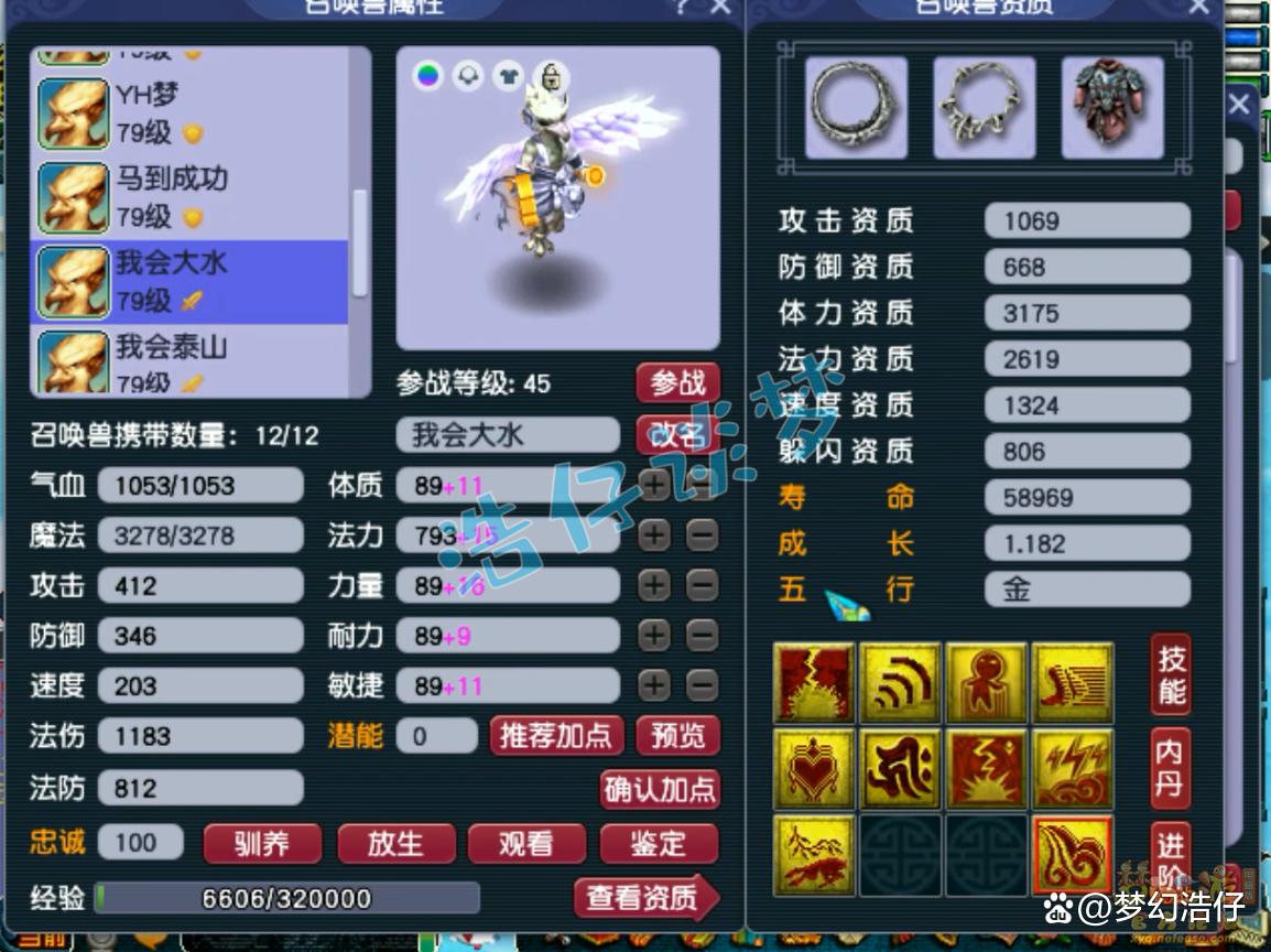 神木69辅助装备选择攻略,梦幻西游