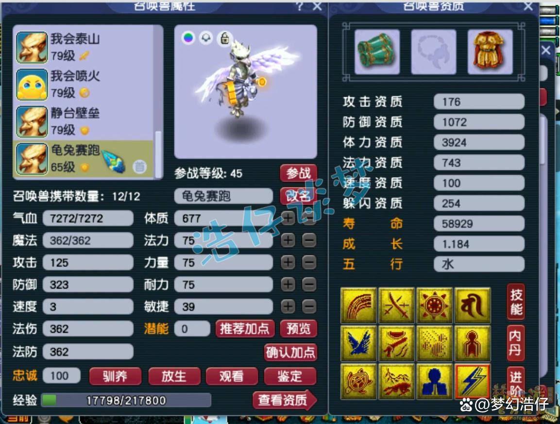 神木69辅助装备选择攻略,梦幻西游
