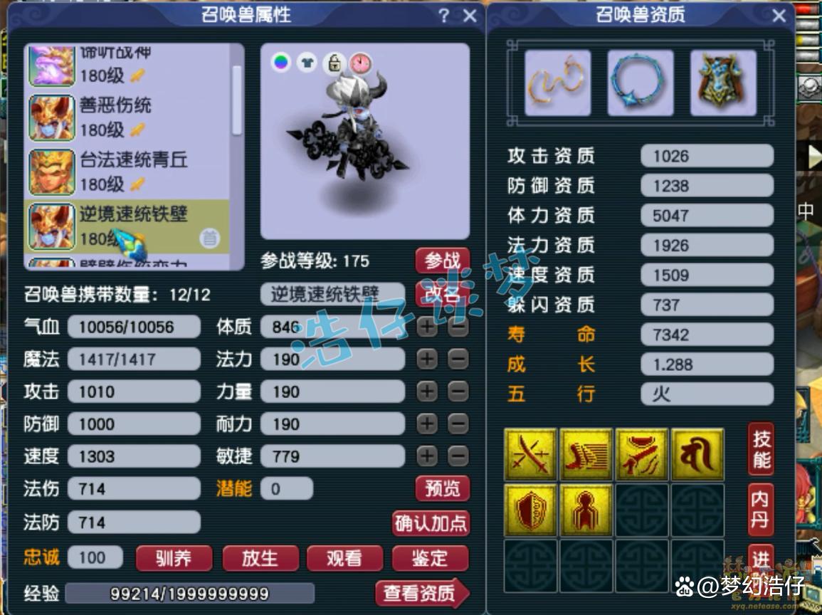 帮战地府装备搭配175级,梦幻西游