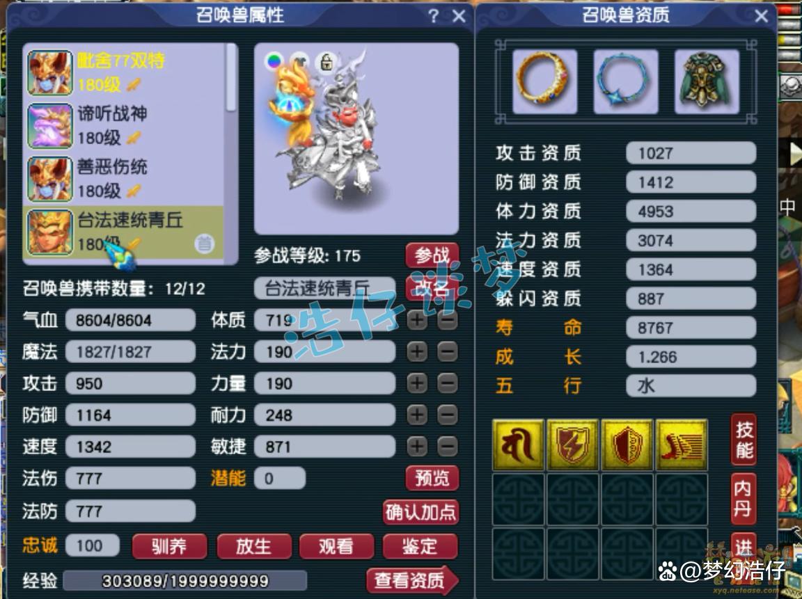 帮战地府装备搭配175级,梦幻西游