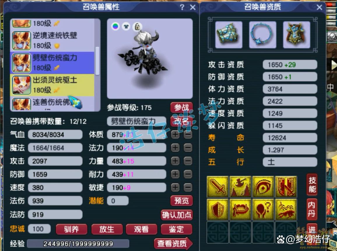 帮战地府装备搭配175级,梦幻西游