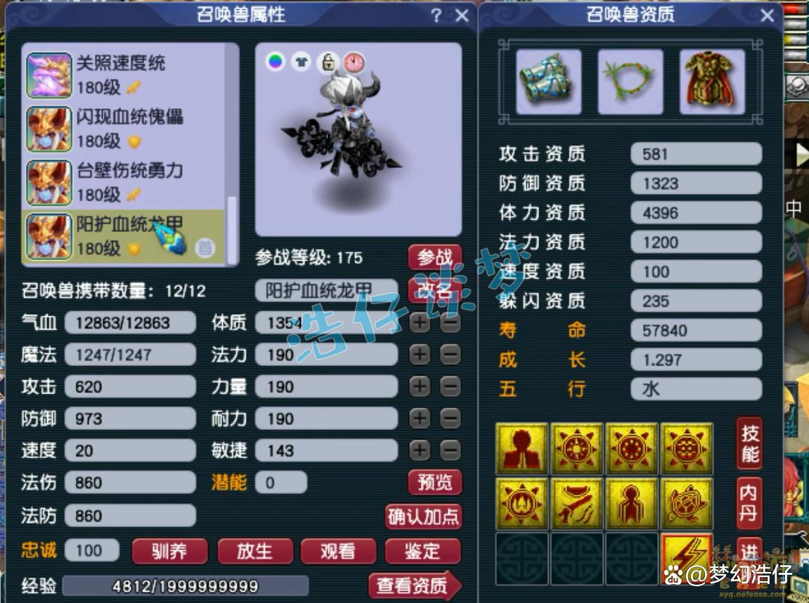帮战地府装备搭配175级,梦幻西游