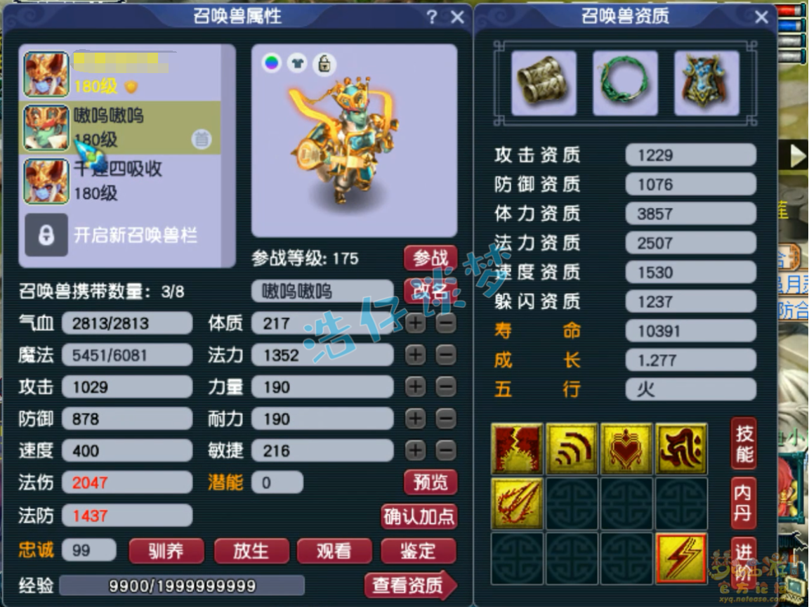175神木装备搭配帮战,梦幻西游