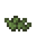 植物魔法材料大全,我的世界