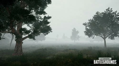 绝地求生特殊天气,绝地求生