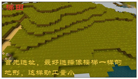 迷你梯田